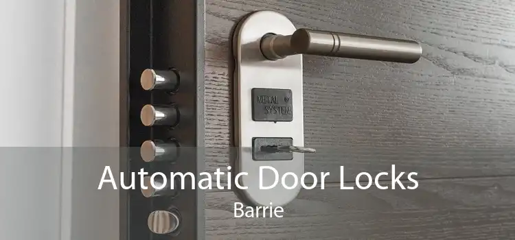 Automatic Door Locks Barrie