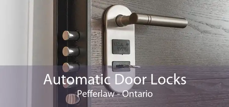 Automatic Door Locks Pefferlaw - Ontario