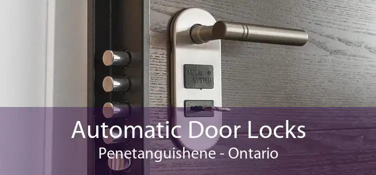 Automatic Door Locks Penetanguishene - Ontario