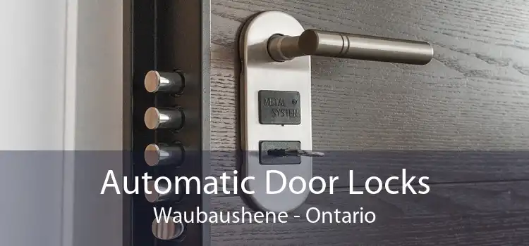 Automatic Door Locks Waubaushene - Ontario