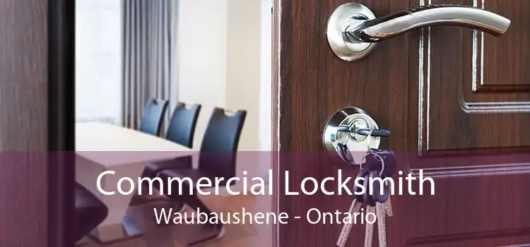 Commercial Locksmith Waubaushene - Ontario