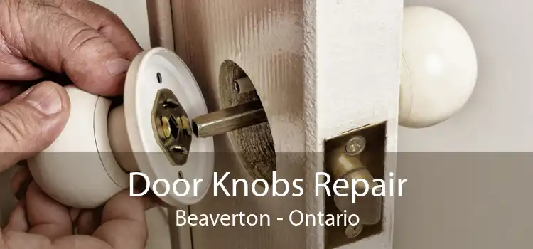 Door Knobs Repair Beaverton - Ontario