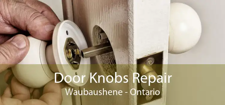 Door Knobs Repair Waubaushene - Ontario