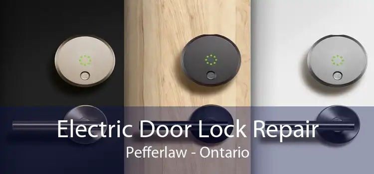 Electric Door Lock Repair Pefferlaw - Ontario