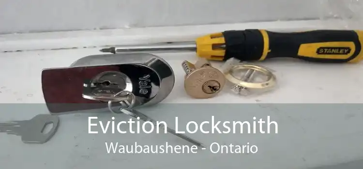 Eviction Locksmith Waubaushene - Ontario