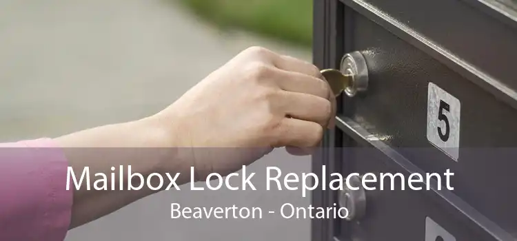 Mailbox Lock Replacement Beaverton - Ontario