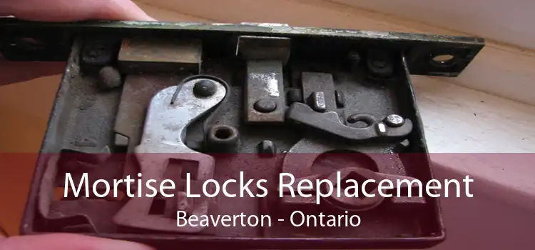 Mortise Locks Replacement Beaverton - Ontario