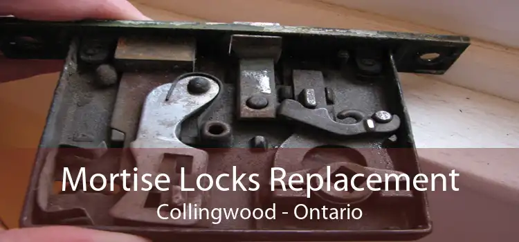 Mortise Locks Replacement Collingwood - Ontario