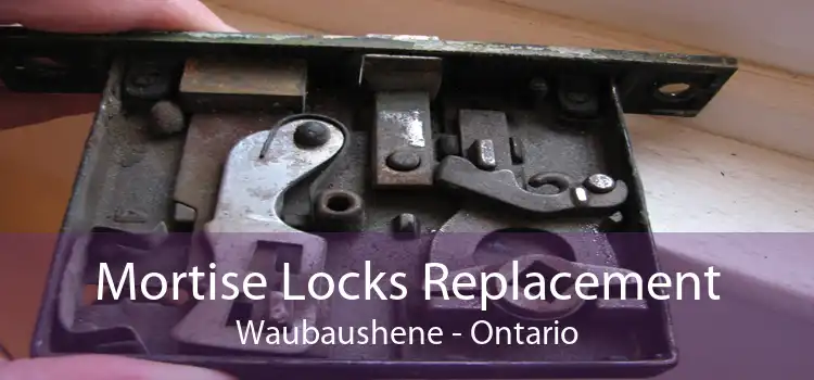Mortise Locks Replacement Waubaushene - Ontario