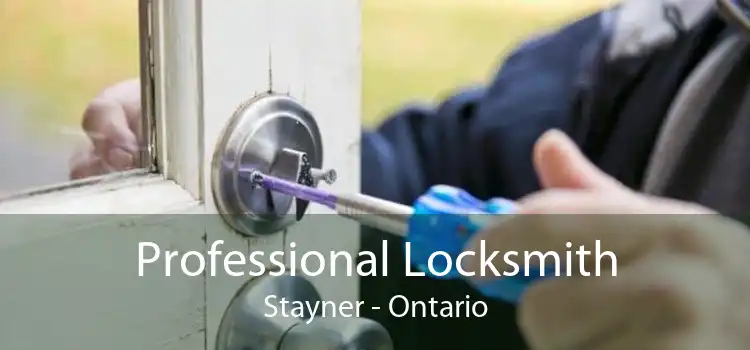Professional Locksmith Stayner - Ontario