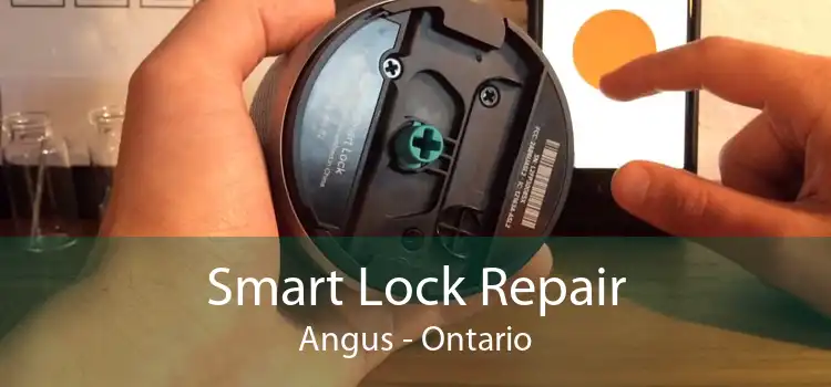 Smart Lock Repair Angus - Ontario