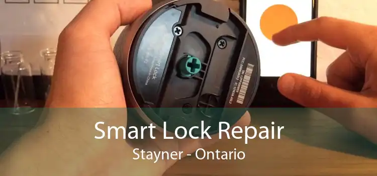 Smart Lock Repair Stayner - Ontario